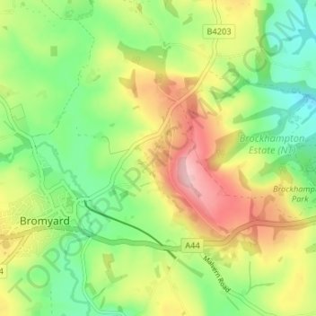 Carte topographique Bromyard Downs, altitude, relief