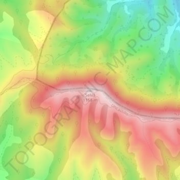 Carte topographique Selva, altitude, relief