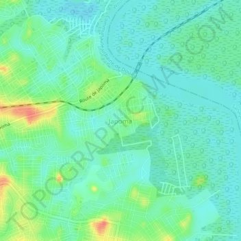 Carte topographique Japoma, altitude, relief