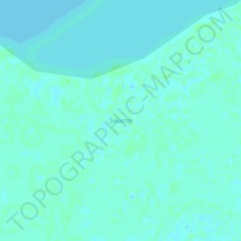 Carte topographique Swamp, altitude, relief