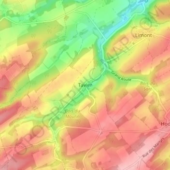 Carte topographique Tavier, altitude, relief