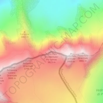 Carte topographique Pizzo Palù Occidentale, altitude, relief