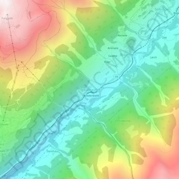 Carte topographique Niederwald, altitude, relief
