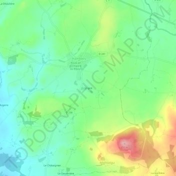 Carte topographique Origné, altitude, relief