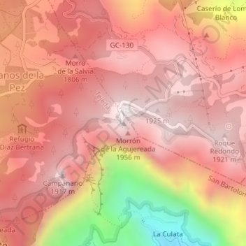 Carte topographique Pico de las Nieves, altitude, relief