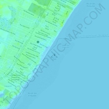 Carte topographique Barra do Pote, altitude, relief