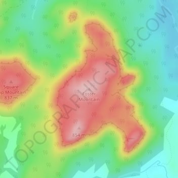 Carte topographique Foster Mountain, altitude, relief