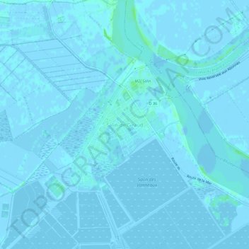 Carte topographique Salin-de-Giraud, altitude, relief