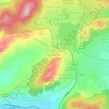 Carte topographique Reajo del Roble, altitude, relief