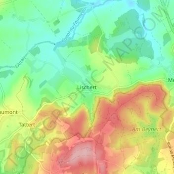 Carte topographique Lischert, altitude, relief