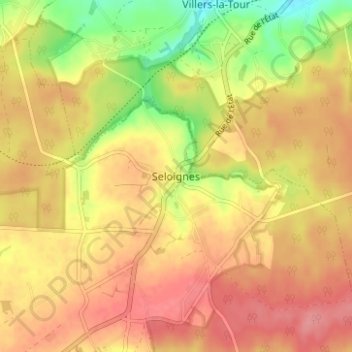 Carte topographique Seloignes, altitude, relief