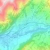 Carte topographique Château-d'Oex, altitude, relief