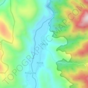 Carte topographique Pining, altitude, relief