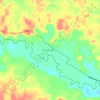 Carte topographique Wono Mulyo, altitude, relief