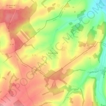 Carte topographique Bois de Rigny, altitude, relief