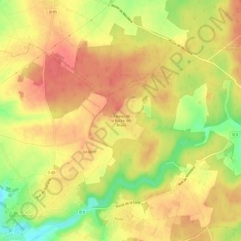 Carte topographique Château de la Roche de Bran, altitude, relief