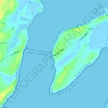 Carte topographique Nees, altitude, relief
