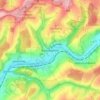 Carte topographique Rieschweiler, altitude, relief