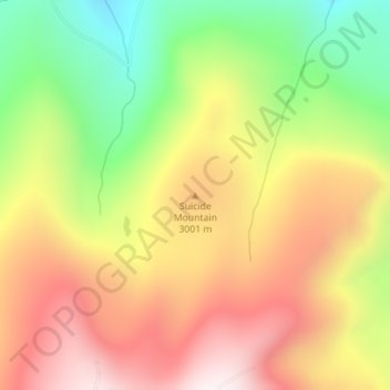Carte topographique Suicide Mountain, altitude, relief