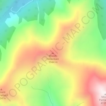 Carte topographique Woods Mountain, altitude, relief