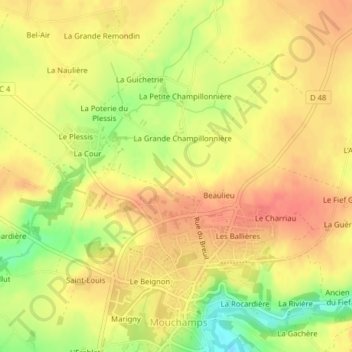 Carte topographique 85640, altitude, relief